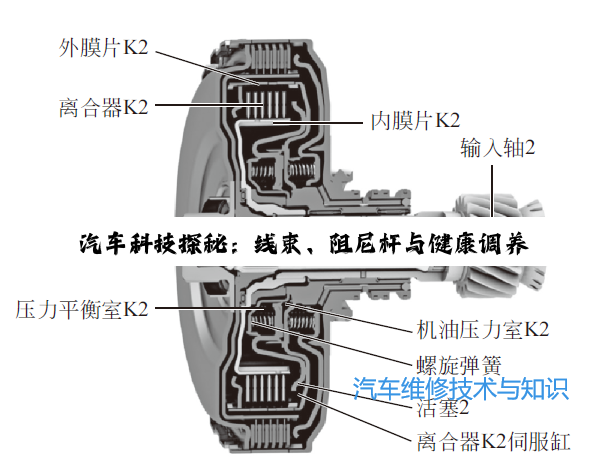 汽车科技探秘:线束、阻尼杆与健康调养的深度洞察
