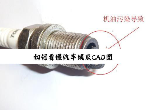 如何看懂汽车线束CAD图