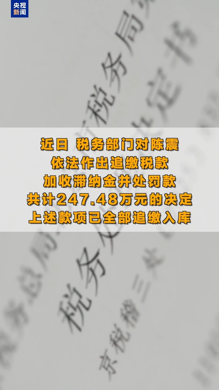 网络车评人陈震偷税被查,税务部门公布案件细节