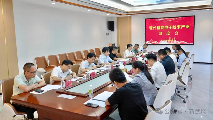 【三个大抓开新局 攻坚突围奋力拼】武冈市现代智能电子线束产业调度会召开